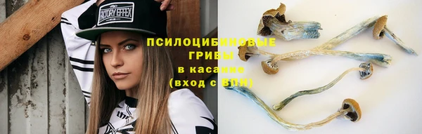 мяу мяу мука Гусиноозёрск