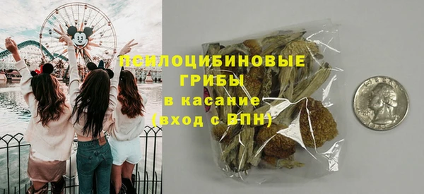 мяу мяу мука Гусиноозёрск