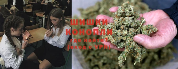 мяу мяу мука Гусев