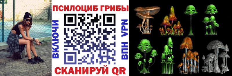 Галлюциногенные грибы мухоморы  Купить где  Кяхта 